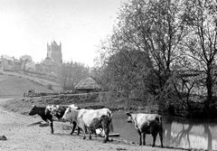 Hole Farm-On-what-is-now-Ashford-Road-and-Thanet-Way-area.